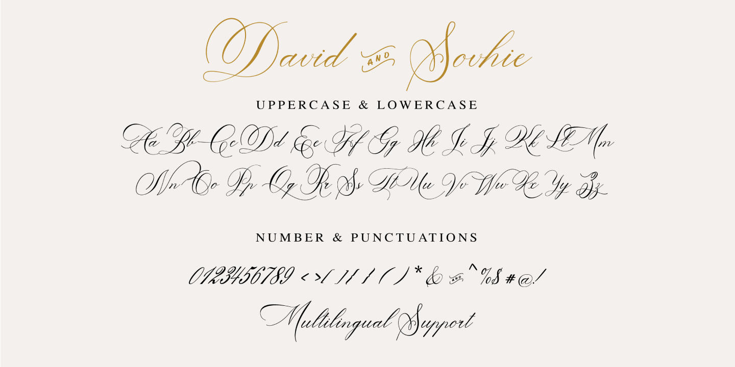 David And Sovhie Regular Font preview